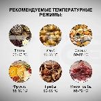 Сушка для фруктов и овощей Hyundai HYFD-P1203 12под. 500 Вт, черный, фото10