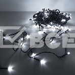 Гирлянда светод. рисовая Funray RL-110W, 10м, 100LED, хол.белый, темно-зел. шнур 0,7м, контроллер, фото 1