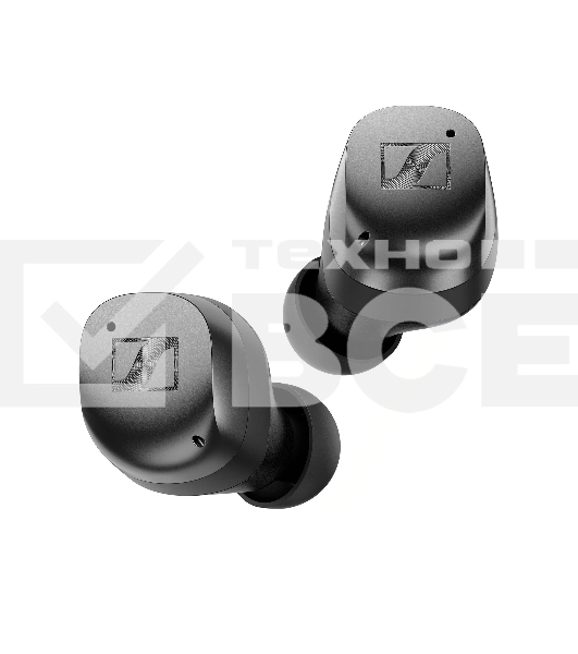Наушники Sennheiser MOMENTUM True Wireless 4 черный/графит