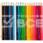 Карандаши цветные Deli EC130-24 ColoRun, шестигранный профиль, дерево 24 цвета, коробка с европодвесом (24шт), фото3