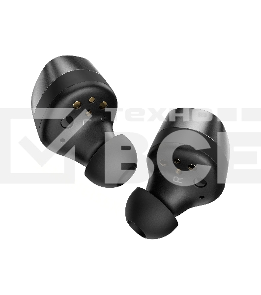 Наушники Sennheiser MOMENTUM True Wireless 4 черный/графит
