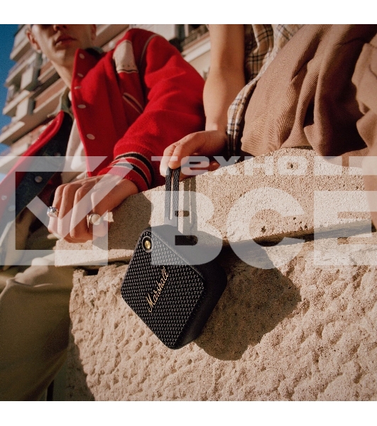 Портативная колонка MARSHALL WILLEN черный