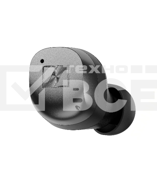 Наушники Sennheiser MOMENTUM True Wireless 4 черный/графит