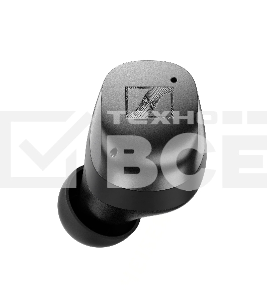 Наушники Sennheiser MOMENTUM True Wireless 4 черный/графит