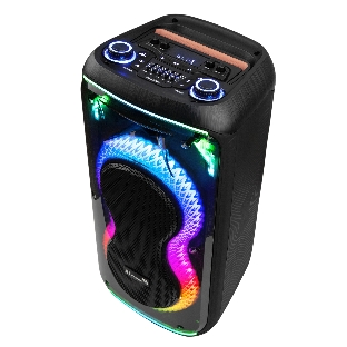 Колонка 08' (20-93 DANCE BOX 800) динамик 2шт/8' ElTRONIC с TWS