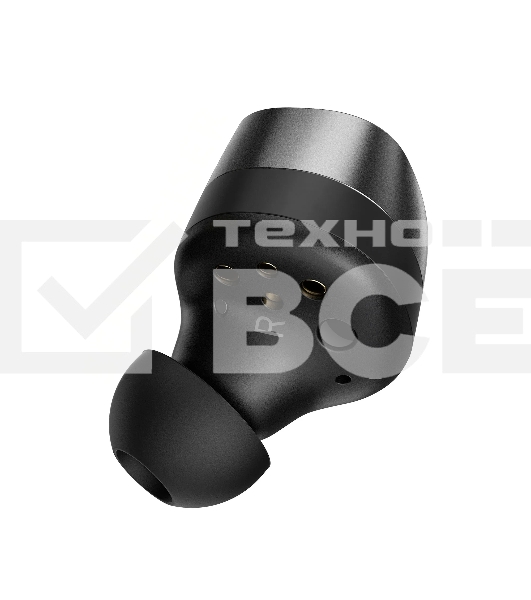 Наушники Sennheiser MOMENTUM True Wireless 4 черный/графит