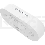 Часы-будильник RITMIX CAT-110 белый, фото5