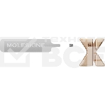 Шильд-символ Moleskine Zodiac Весы, металл, золотистый, коробка с европодвесом, PINLIBRAGOLD, фото3