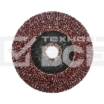 Круг лепестковый торцевой Edge by Patriot 150мм*22,23мм*P40, фото2
