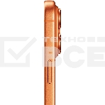 Смартфон Apple iPhone 17 Pro Max A3526 12/512Gb оранжевый, фото2