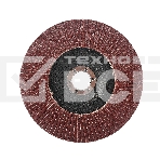 Круг лепестковый торцевой Edge by Patriot 150мм*22,23мм*P80, фото2