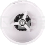 Кофемолка LEONORD LE-1734 белая (106668), фото2