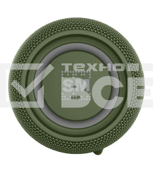 Портативная колонка SOUNDMAX SM-PS5026B зеленый