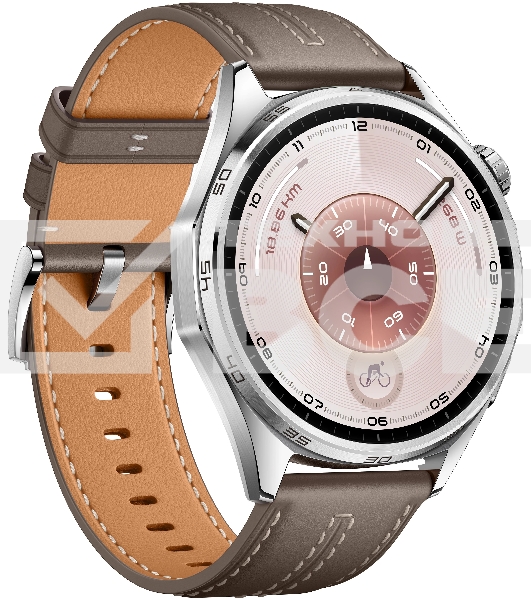 Умные часы Huawei GT 6 ATM-B19 55020FWE серый