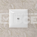 Розетка компьютерная DKC 4400663 1-м СП Avanti 