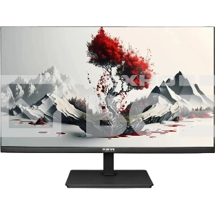 Монитор RDW Computers RDW2401K 1920x1080(FHD) IPS 100Hz 4мс 178°/178 300cd VGA HDMI DP Рег. по высоте, Портретный режим, Поворот вокруг своей оси(лево/право),наклон, Внешний БП, Динамики, черный, VESA 100*100, реестр МПТ