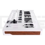 Клавиатура MIDI [231501] Arturia [MiniLAB 3] 25 клавиш, 8 энкодеров, 8 RGB пэдов, 8 фейдеров, дисплей, сенсорные регуляторы Pitch/Modulation, MIDI-выход, 1/4