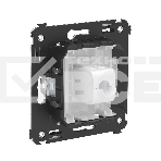 Розетка компьютерная DKC 4400663 1-м СП Avanti 