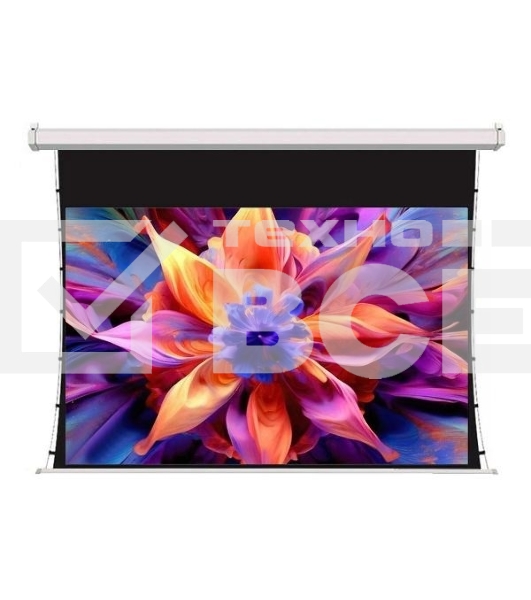 Экран для проектора S'OK SCPSMT-221x125ED30-GR 100 