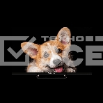 Телевизор Topdevice  32