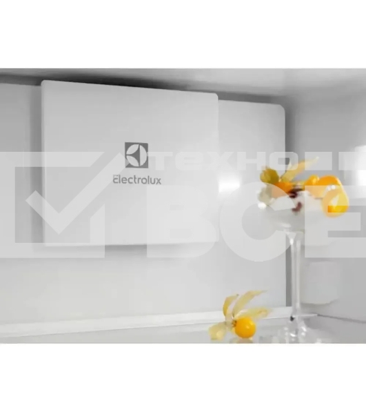 Холодильник Electrolux ENT6ME19S 2-хкамерн.