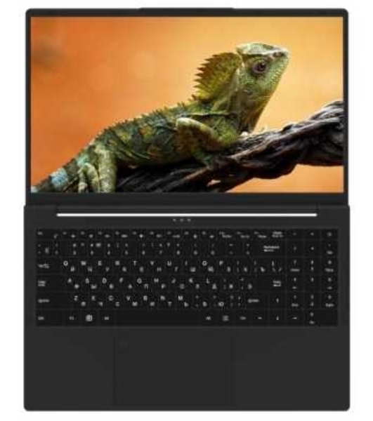 Ноутбук Rikor Pro 5 15 OH-03/15.6'/IPS/Intel Core i5 1235U/16GB/512GB SSD/Iris Xe Graphics/Windows 11 Professional/черный/1.65kg
