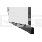 Экран с электроприводом Lumien Master Control 254x400 см (181
