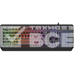 Клавиатура Acer OKW300 (ZL.KBDCC.019) проводная, USB, черный, фото 1