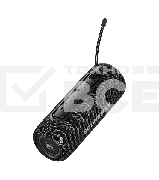 Портативная колонка Soundmax SM-PS5026B черный