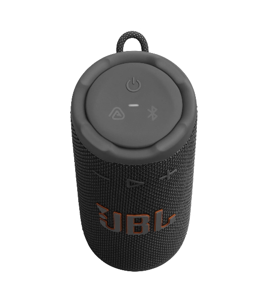 Портативная акустика JBLGRIPBLK черный