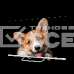 Телевизор Topdevice 32