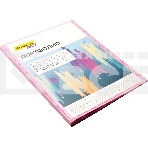 Папка-портфолио с 40 прозрачными вкладками Silwerhof Create SCR-P40PIN A4, пластик, 0.7мм, карман на лицевой стороне, розовый, фото 1