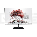 Монитор RDW Computers 23.8' RDW2401K черный IPS 4ms HDMI M/M HAS Piv 350cd 178гр/178гр 1920x1080 100Hz VGA DP FHD USB (RUS), фото4