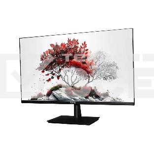 Монитор RDW Computers 23.8' RDW2401K черный IPS 4ms HDMI M/M HAS Piv 350cd 178гр/178гр 1920x1080 100Hz VGA DP FHD USB (RUS)