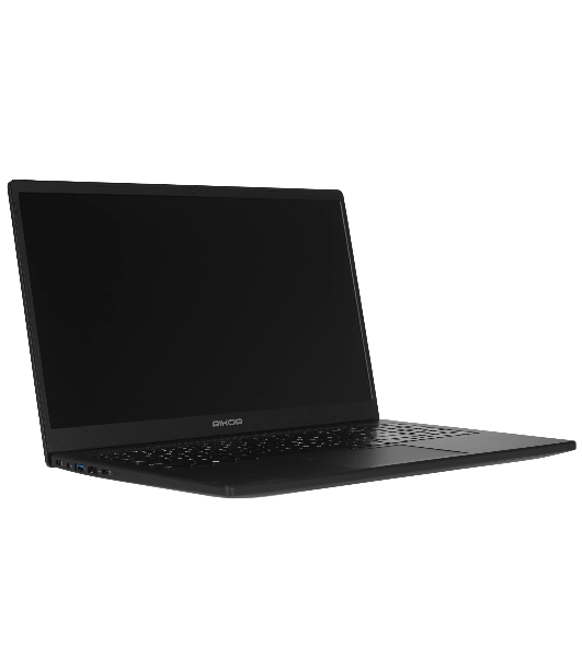 Ноутбук 15.6' IPS FHD RIKOR NINO 201.1 черный (AMD Ryzen 3 5400U/8Gb/256Gb SSD/VGA int/W11Pro/RJ45) (F86340A7)