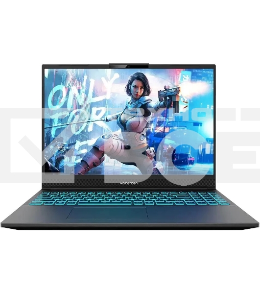Ноутбук Maibenben X-Treme Typhoon X16A-i73646 16
