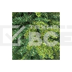 Ель искусственная Royal christmas Arkansas Premium Hinged PVC/PE — 150 см 291150, фото3