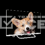 Телевизор Topdevice 24