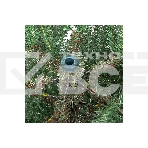 Ель искусственная Royal christmas Arkansas Premium Hinged PVC/PE — 150 см 291150, фото4