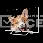 Телевизор Topdevice 24