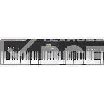 Клавиатура MIDI [91961021] Studiologic [SL88 Grand] 88 клавиш с молоточковой рояльной механикой и послекасанием Fatar TP/40WOOD, 250 программ, TFT LCD дисплей 320х240 точек, 3 программируемых JoyStick, в комплекте: педаль сустейна VFP1/10, внешний БП, фото 1