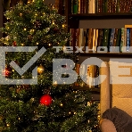 Гирлянда светод. Funray Минишарики, SE-MINI-110Y, 10М, 100LED, желт., темно-зел. шнур 0,7м, контр,, фото7