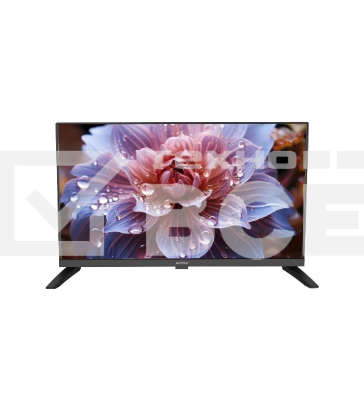 Телевизор GOLDSTAR 24' LT-24R1000 черный DLED HD 60Hz