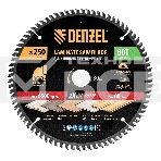 Пильный диск по ламинату Denzel ф250 х 30 мм, 80 зубьев 733877, фото 1