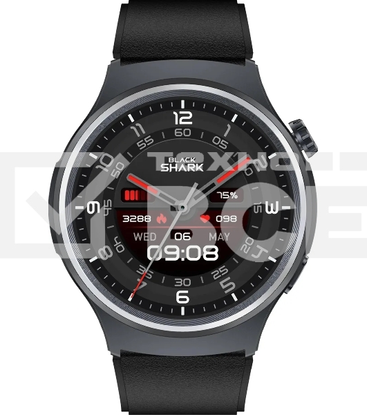Смарт-часы Black Shark BS-W2404 (A3) AMOLED корп.черный рем.черный (1746935)