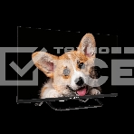 Телевизор Topdevice 24