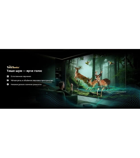 Телевизор QLED Skyworth 55' 55X66H черный/серый Mini-LED 4K Ultra HD 60Hz Google TV 2GB/32GB