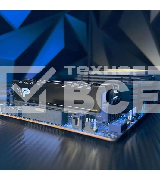 Оперативная память Patriot Signature Premium, DDR5, 8GB (1x8 GB), 5200 MHz, CL42, радиатор, черный