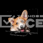 Телевизор Topdevice 24