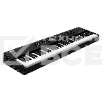 Цифровое пианино [92673010] Studiologic [Numa X Piano 73], фото2